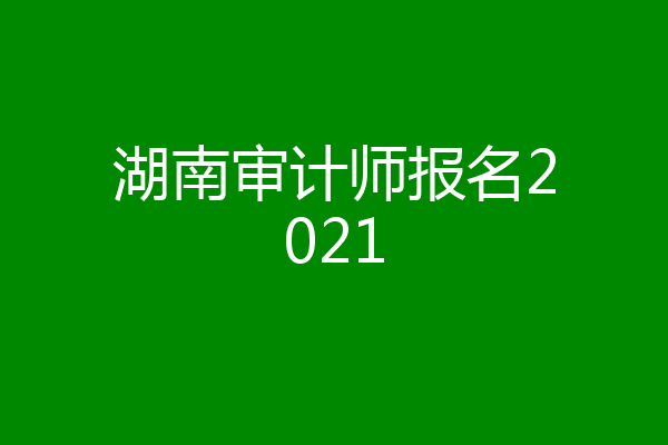 湖南审计师报名2021
