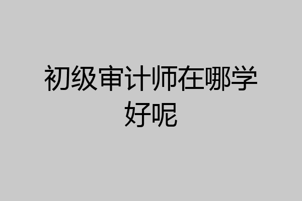 初级审计师在哪学好呢
