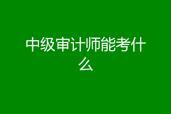 中级审计师能考什么