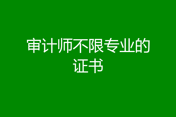 审计师不限专业的证书