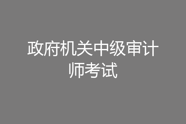 政府机关中级审计师考试