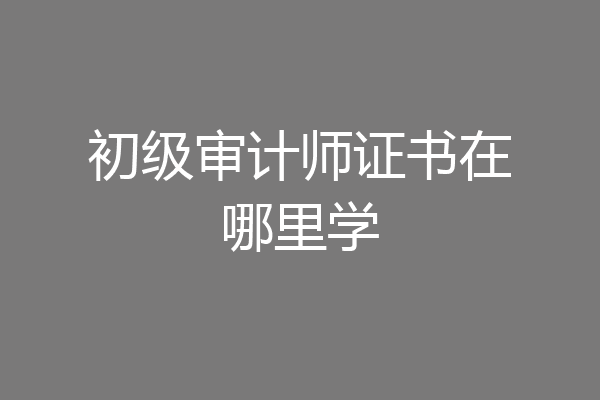 初级审计师证书在哪里学