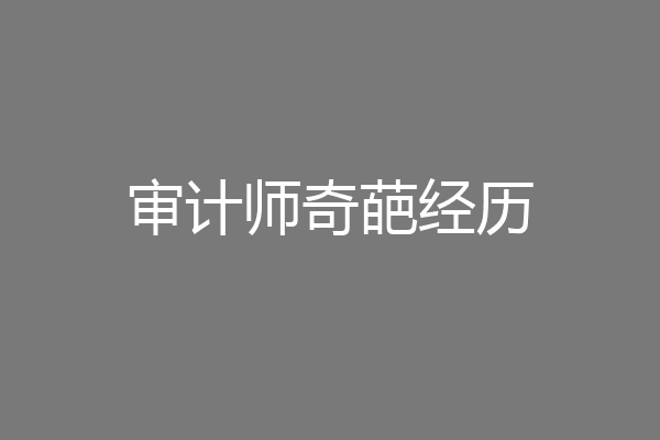 审计师奇葩经历