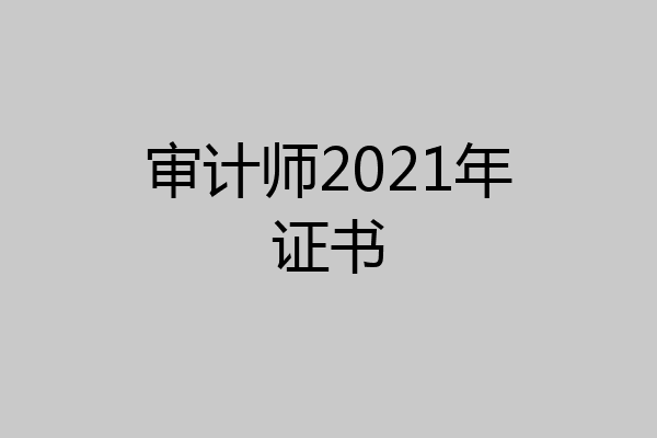 审计师2021年证书