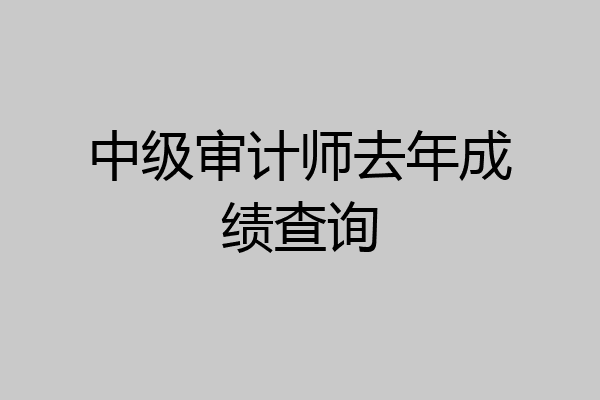 中级审计师去年成绩查询
