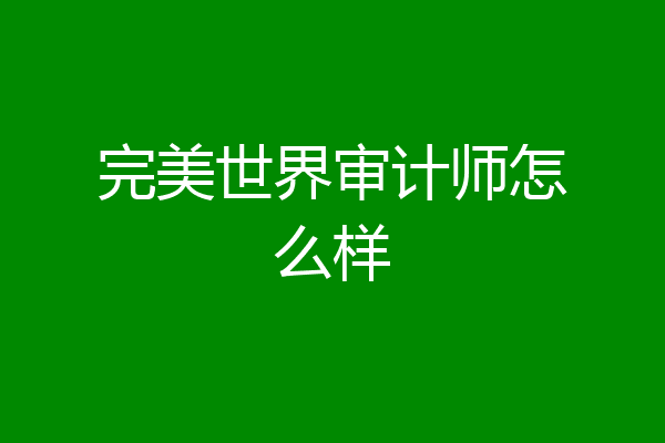完美世界审计师怎么样