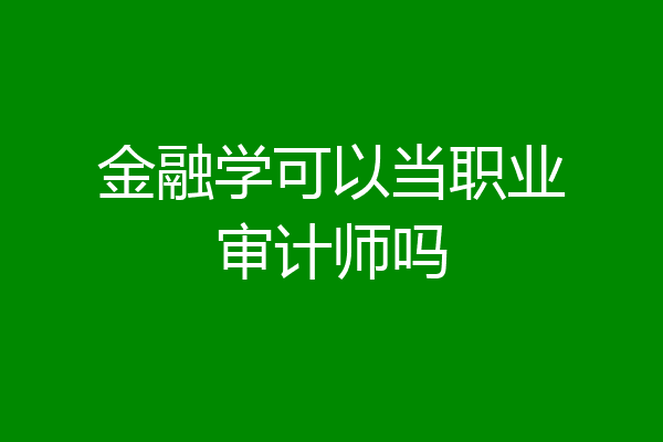 金融学可以当职业审计师吗