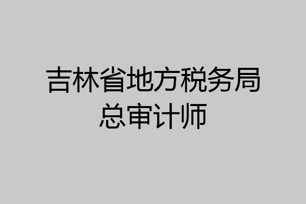 吉林省地方税务局总审计师