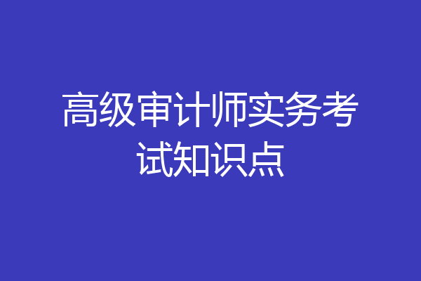 高级审计师实务考试知识点