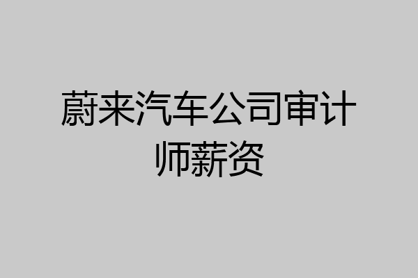 蔚来汽车公司审计师薪资