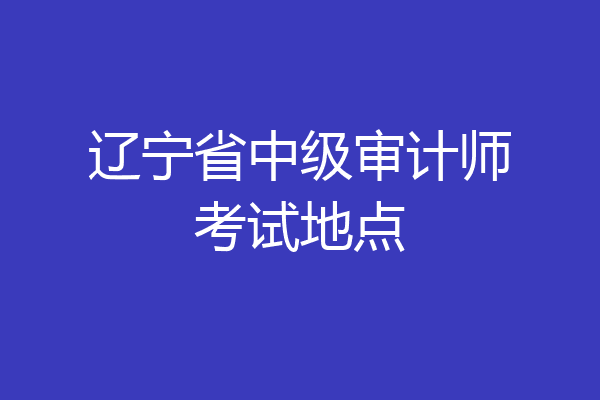 辽宁省中级审计师考试地点