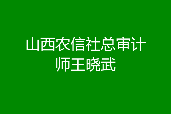 山西农信社总审计师王晓武