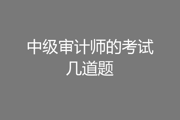 中级审计师的考试几道题