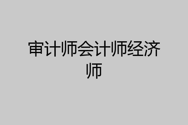 审计师会计师经济师