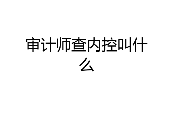 审计师查内控叫什么