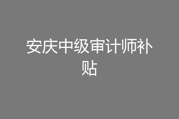 安庆中级审计师补贴