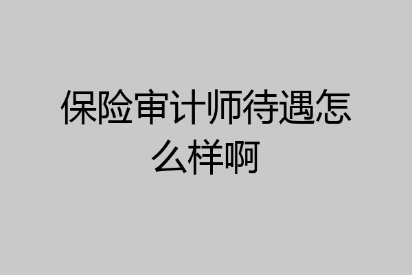 保险审计师待遇怎么样啊