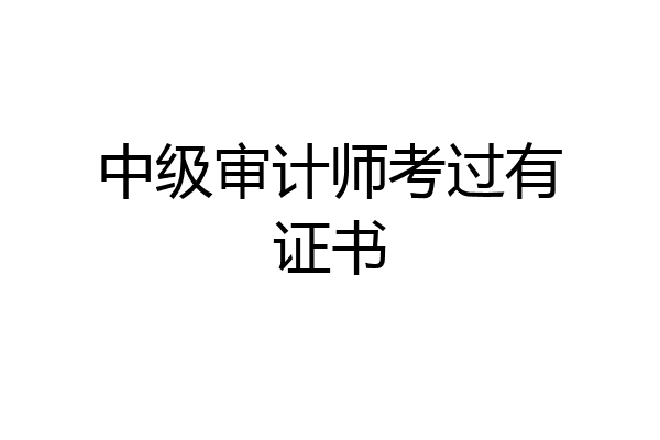 中级审计师考过有证书