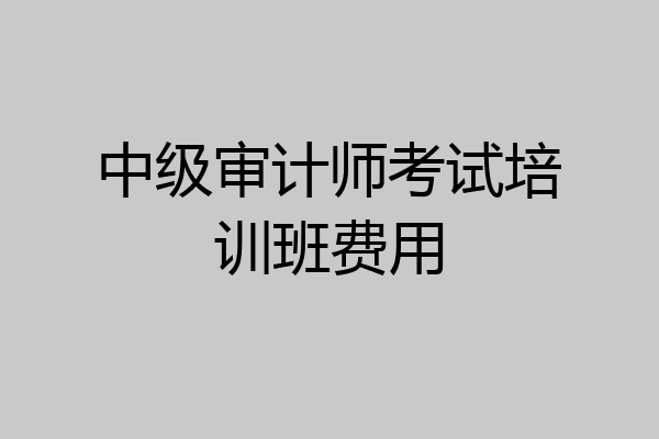 中级审计师考试培训班费用