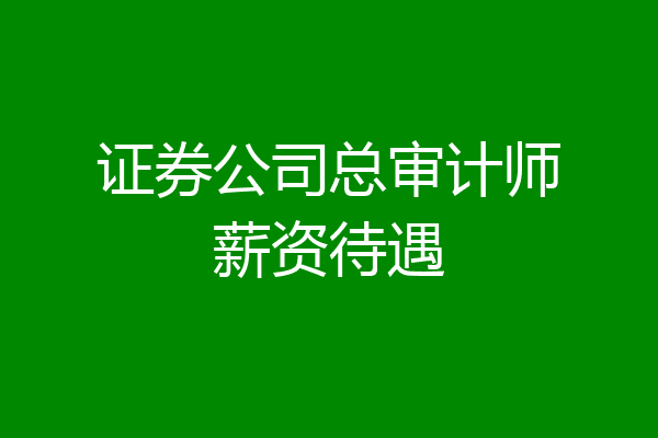证券公司总审计师薪资待遇