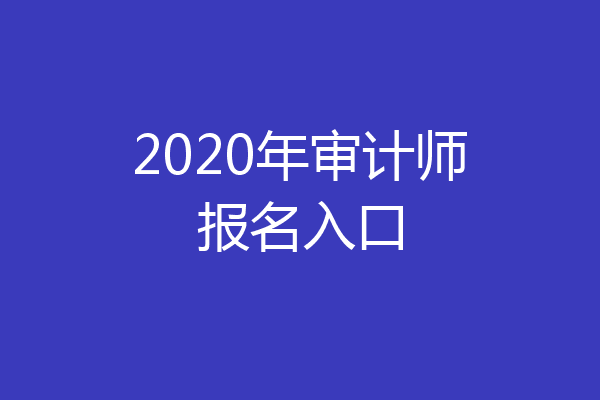 2020年审计师报名入口