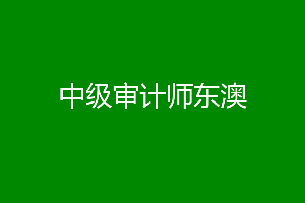 中级审计师东澳