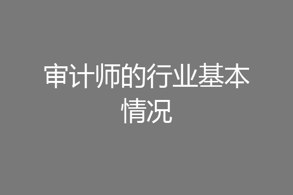 审计师的行业基本情况