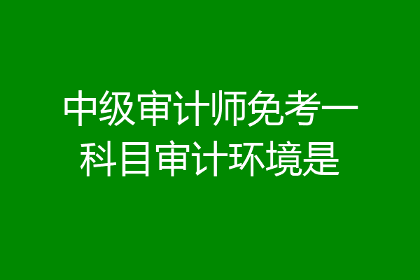 中级审计师免考一科目审计环境是
