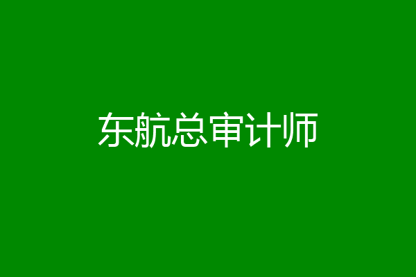 东航总审计师