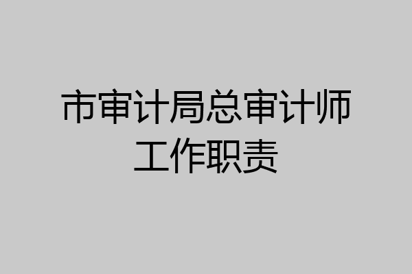 市审计局总审计师工作职责