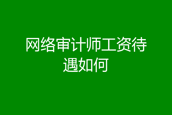 网络审计师工资待遇如何
