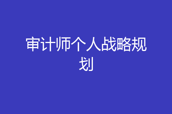 审计师个人战略规划