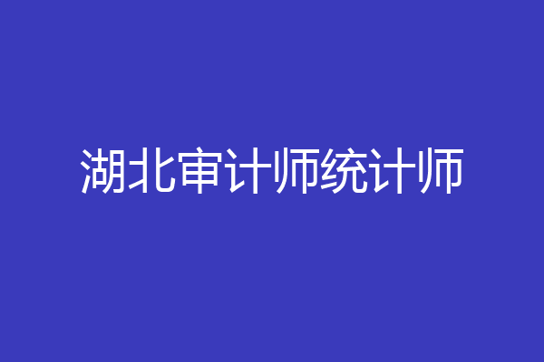 湖北审计师统计师