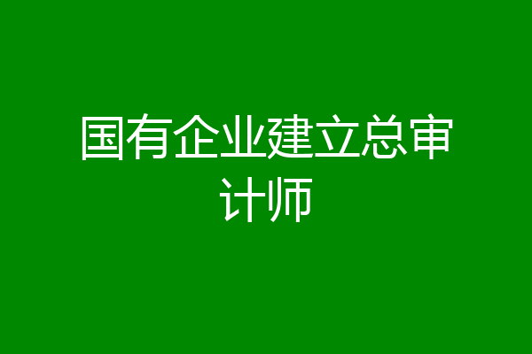 国有企业建立总审计师