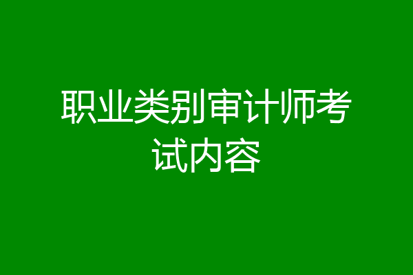职业类别审计师考试内容