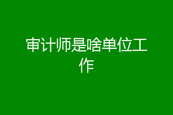 审计师是啥单位工作