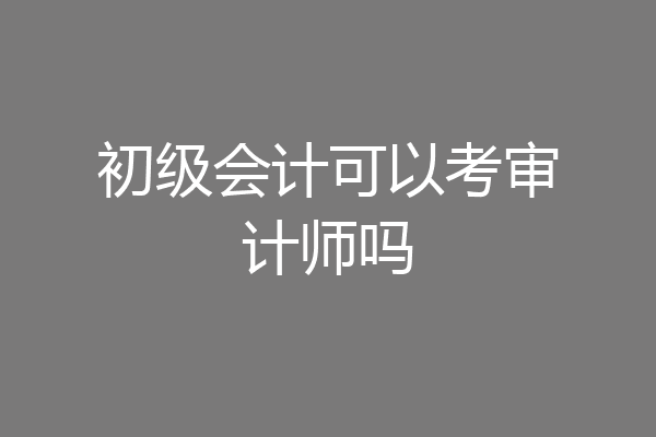 初级会计可以考审计师吗