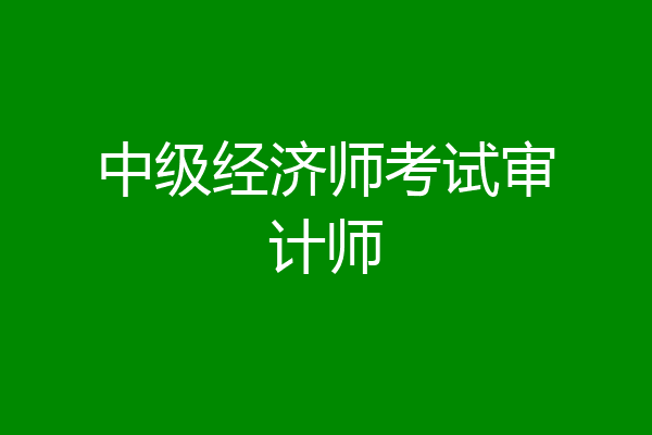 中级经济师考试审计师