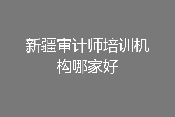 新疆审计师培训机构哪家好