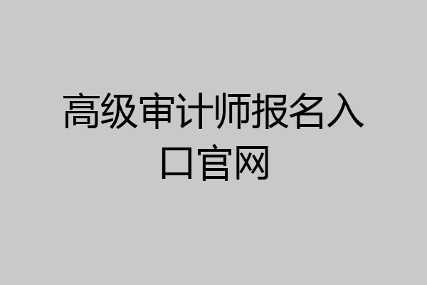 高级审计师报名入口官网