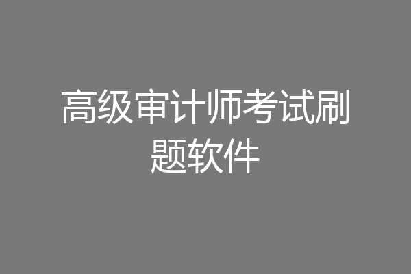 高级审计师考试刷题软件