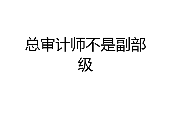 总审计师不是副部级