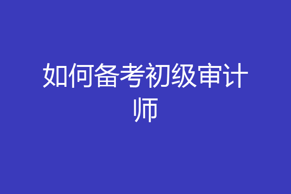 如何备考初级审计师