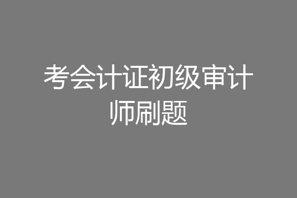 考会计证初级审计师刷题