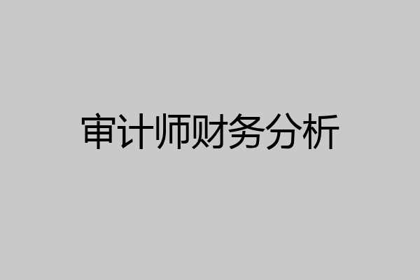 审计师财务分析