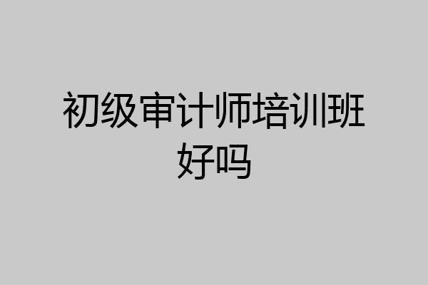 初级审计师培训班好吗