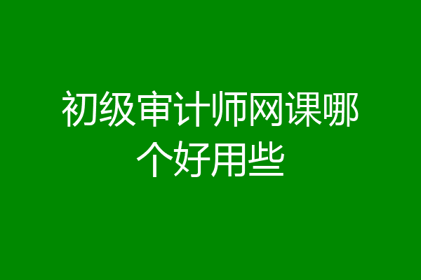 初级审计师网课哪个好用些