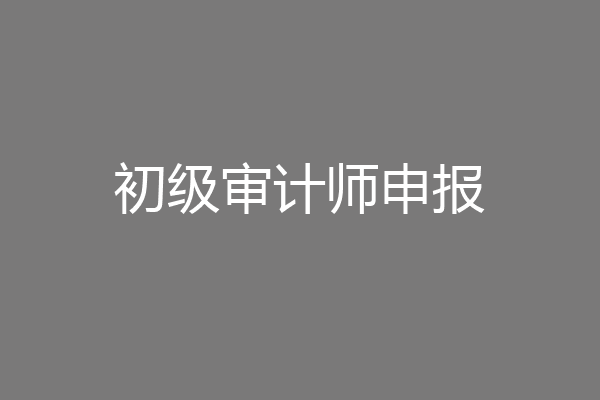 初级审计师申报