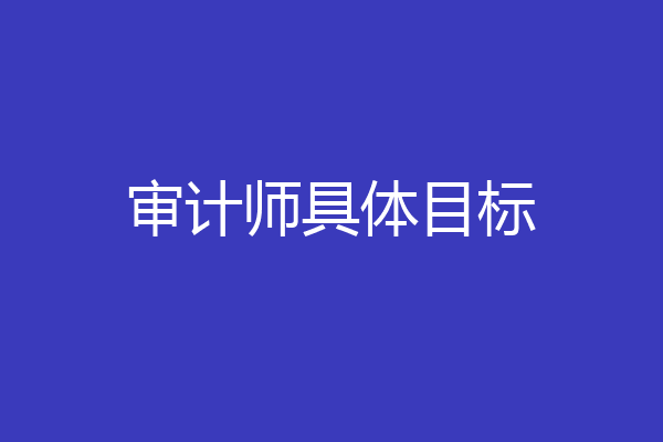 审计师具体目标