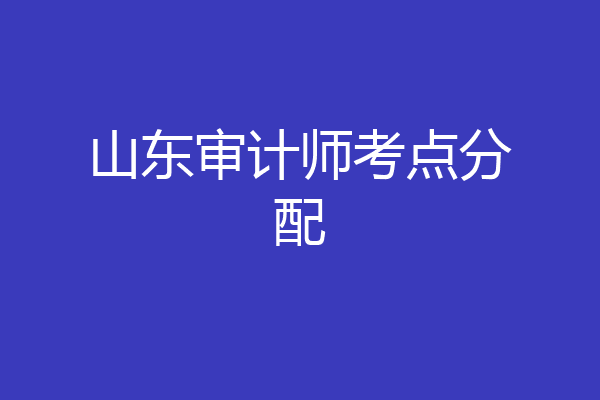 山东审计师考点分配